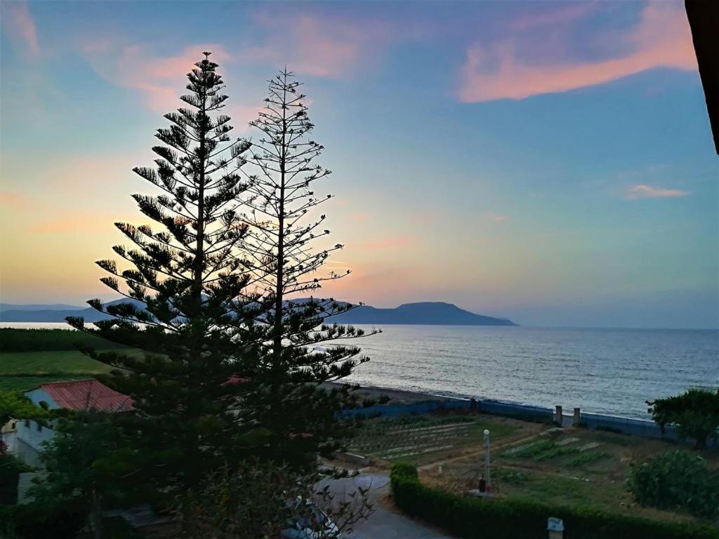 Musela Studios Episkopi  Ngoại thất bức ảnh